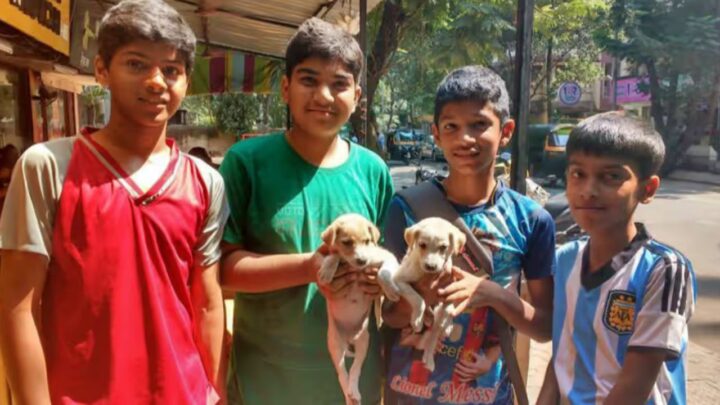 Animal Welfare Heroes