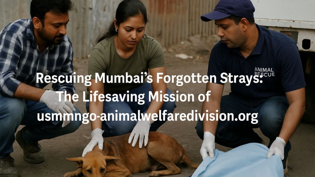 Mumbai Forgotten Strays
